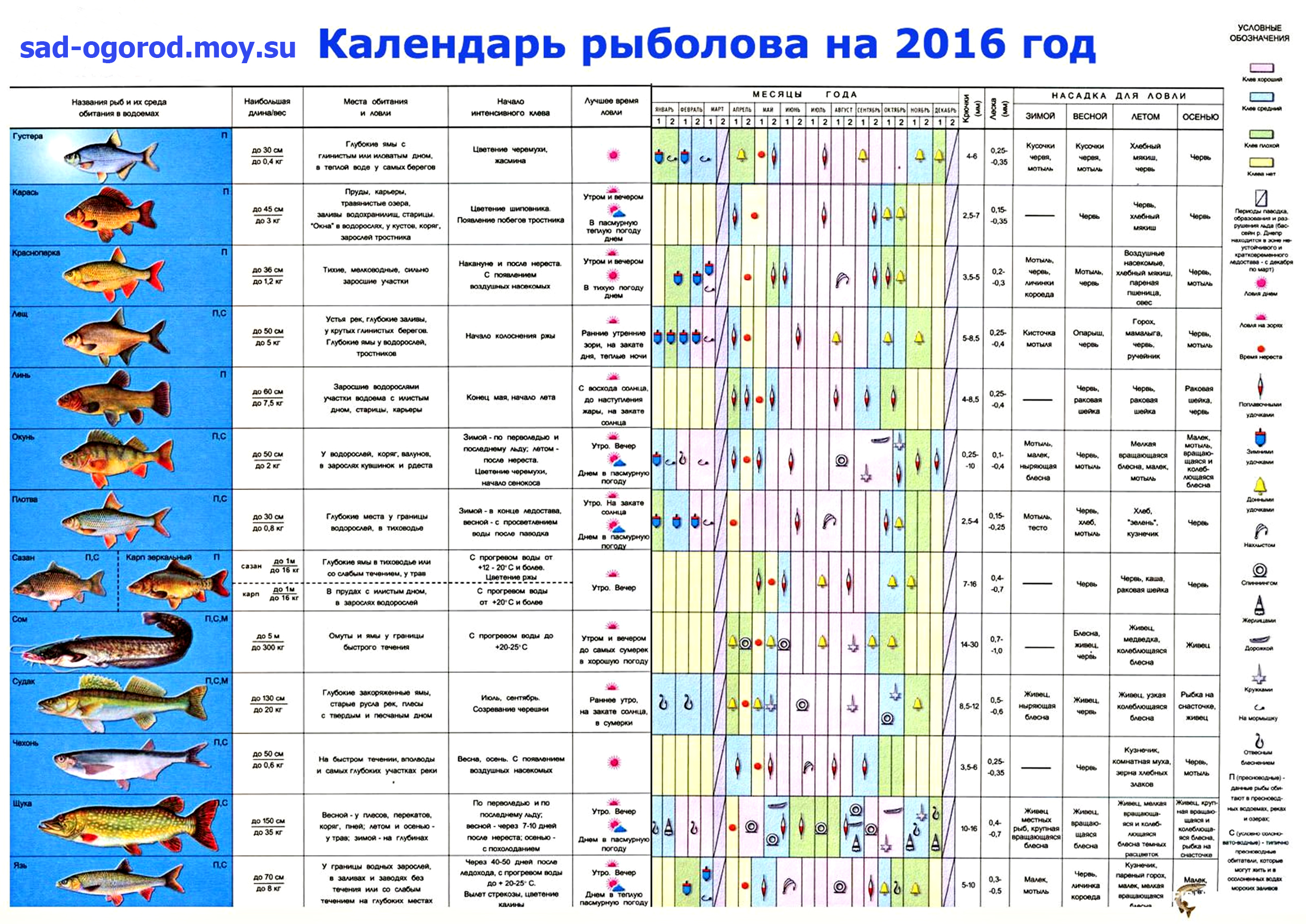Праздники 25 октября 2018 года Праздники 25 октября 2018 года